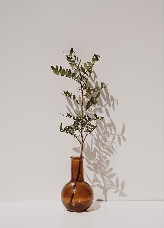 trauma therapy near Seattle