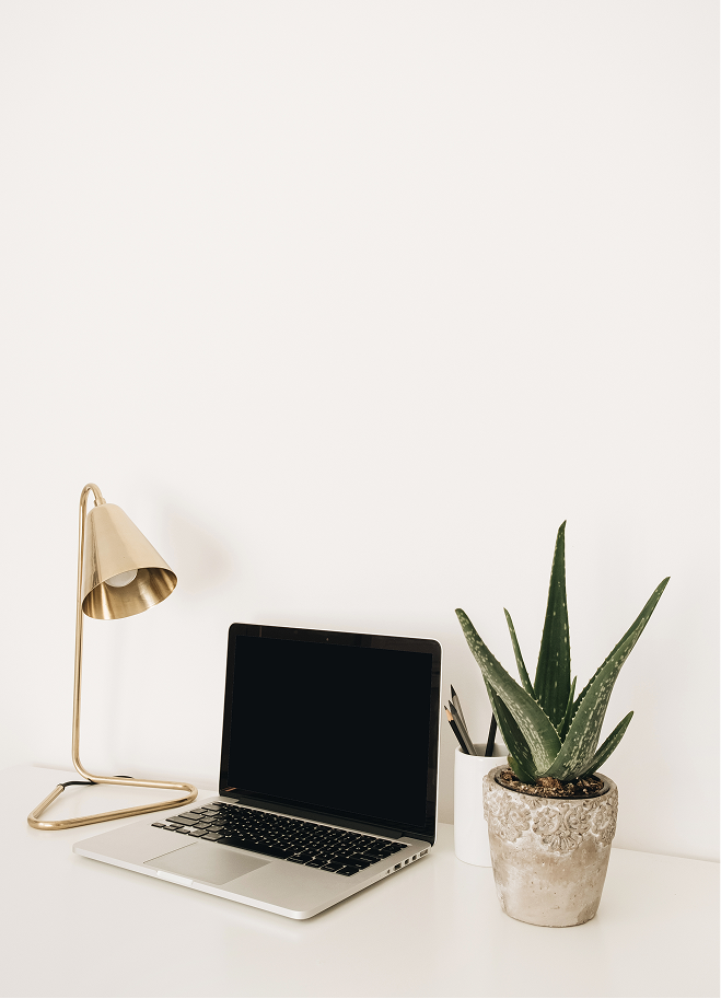 parent trauma therapy support