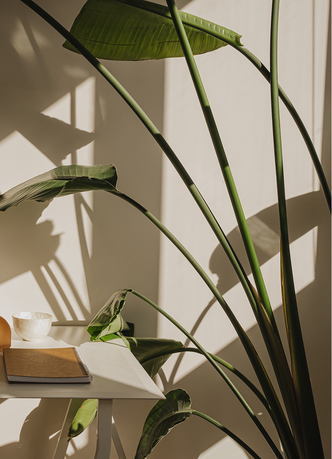 therapist office in Federal Way WA