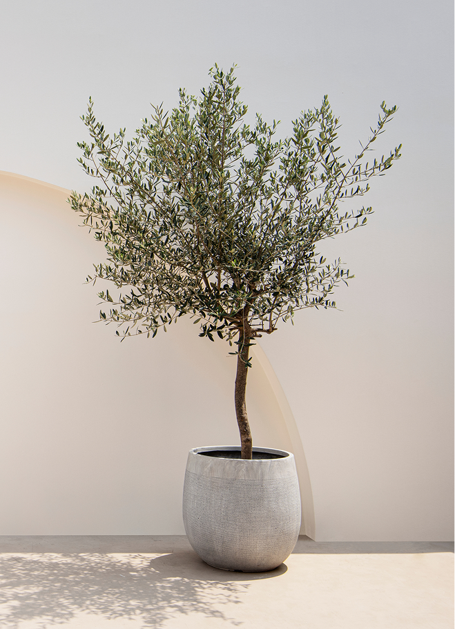 EMDR therapy session